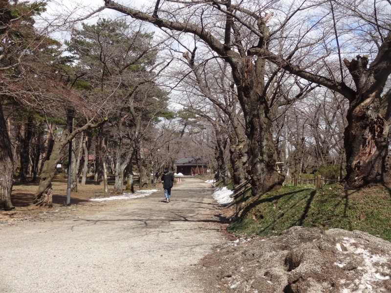f:id:akita319:20140324205048j:image