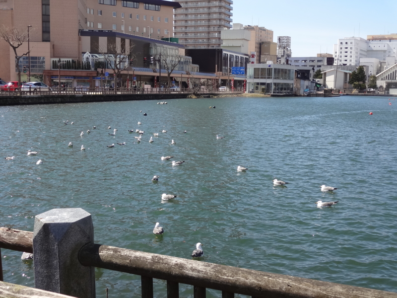 f:id:akita319:20140324205111j:image