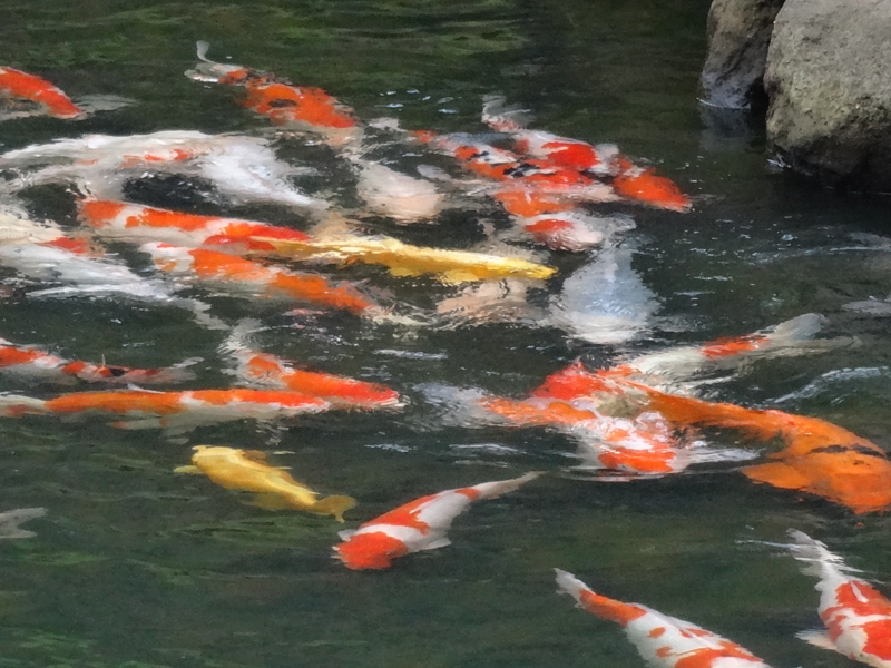 f:id:akita319:20140525152142j:image f:id:akita319:20140525152142j:image