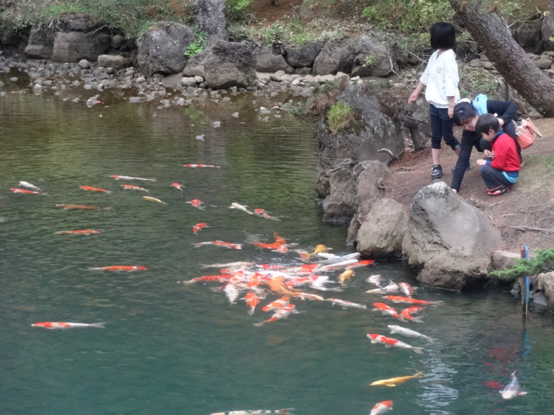 f:id:akita319:20140525152151j:image f:id:akita319:20140525152151j:image