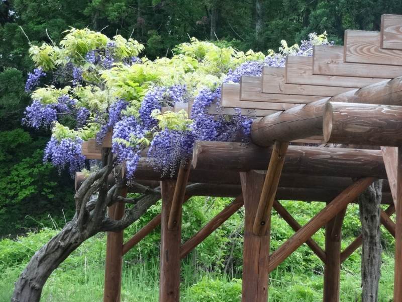 f:id:akita319:20140525152247j:image f:id:akita319:20140525152247j:image