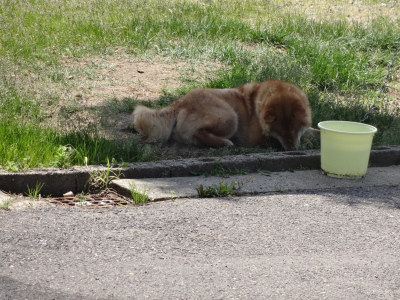 f:id:akita319:20140604062232j:image