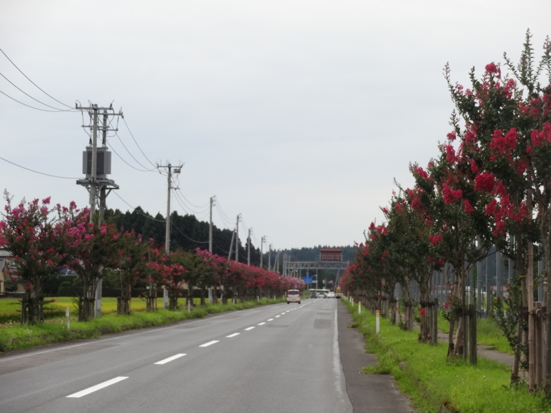 f:id:akita319:20140904190701j:image