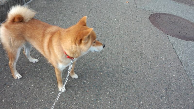 f:id:akita319:20140920092632j:image