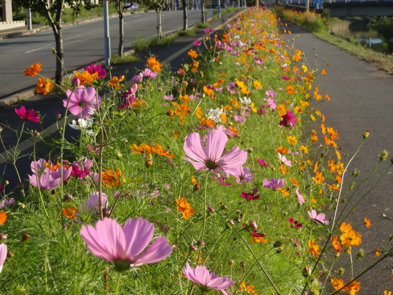 f:id:akita319:20140921074110j:image