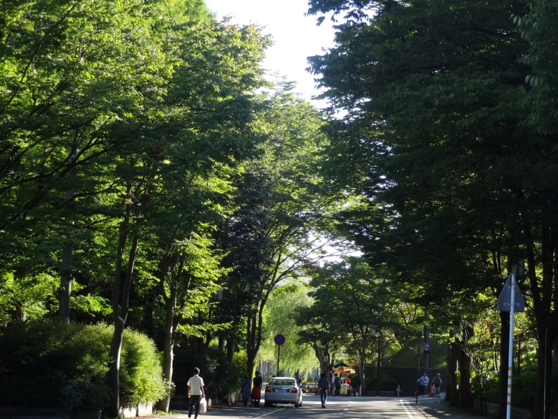 f:id:akita319:20140921190205j:image