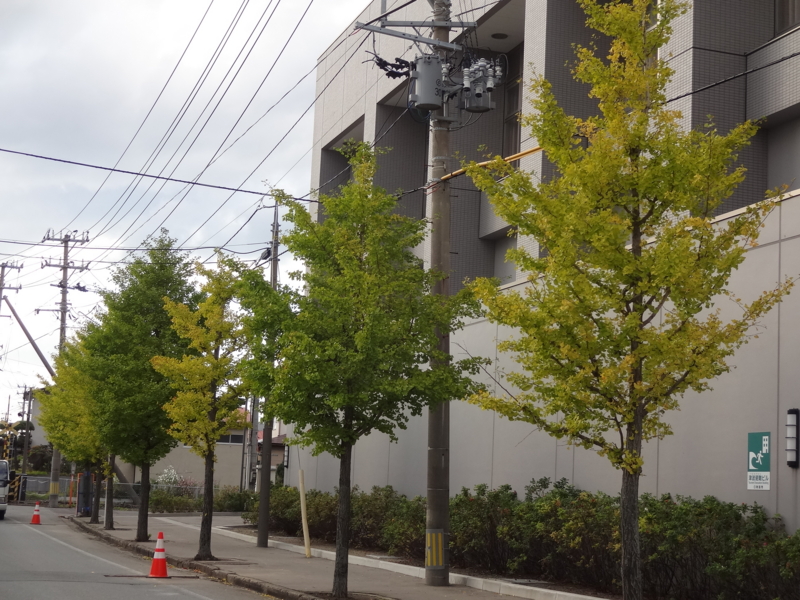 f:id:akita319:20141005053321j:image