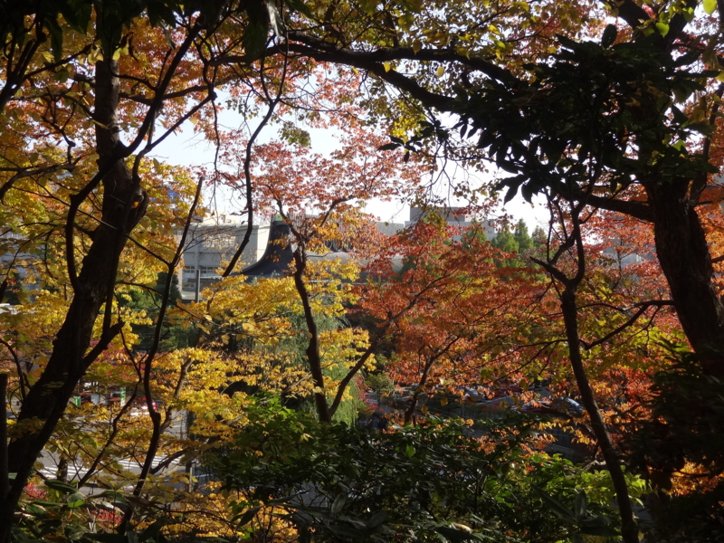 f:id:akita319:20141026073517j:image