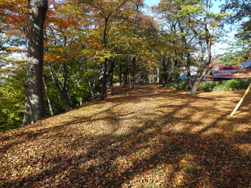 f:id:akita319:20141026073528j:image