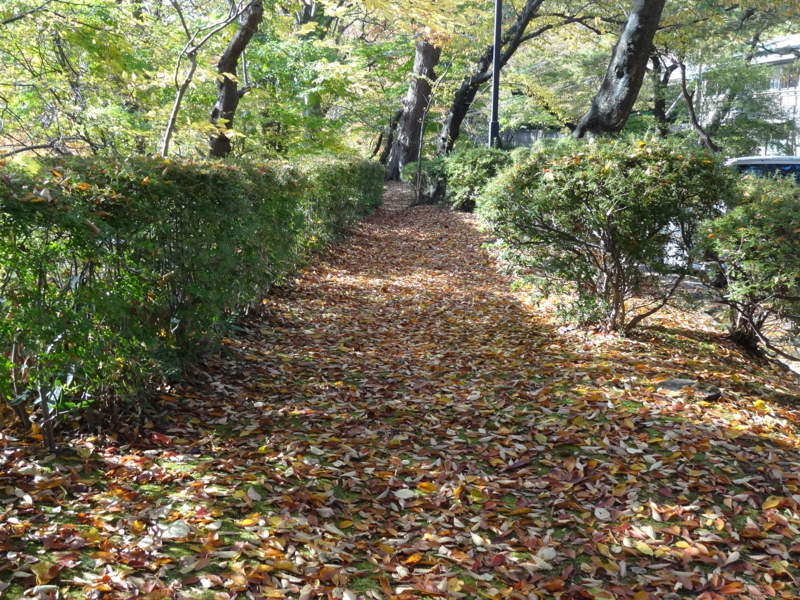 f:id:akita319:20141026073538j:image