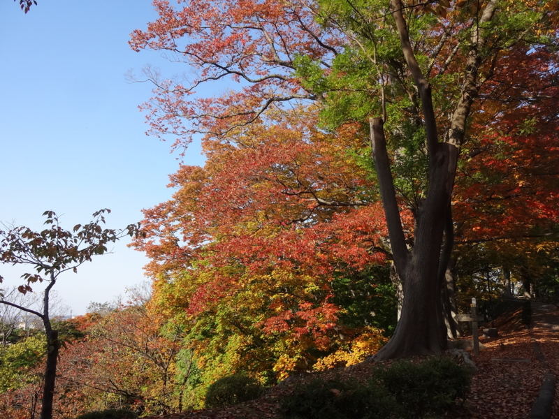 f:id:akita319:20141026075901j:image