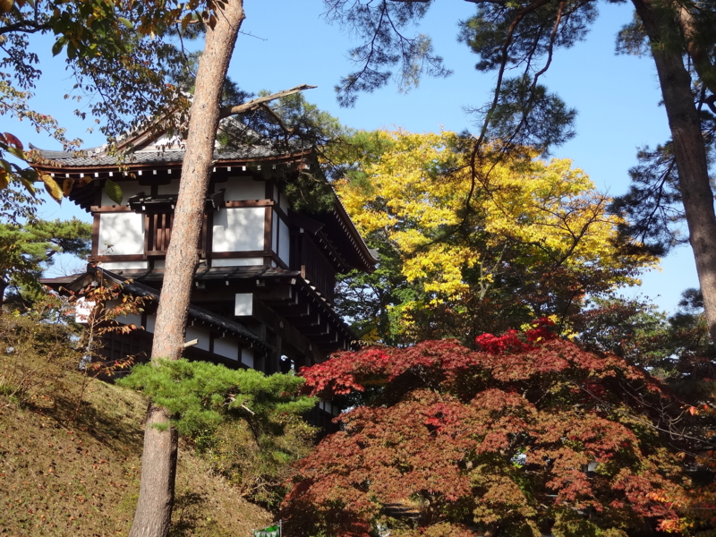 f:id:akita319:20141026075909j:image