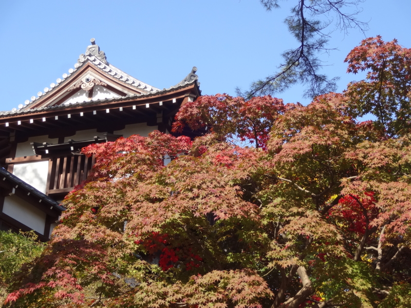 f:id:akita319:20141026075916j:image
