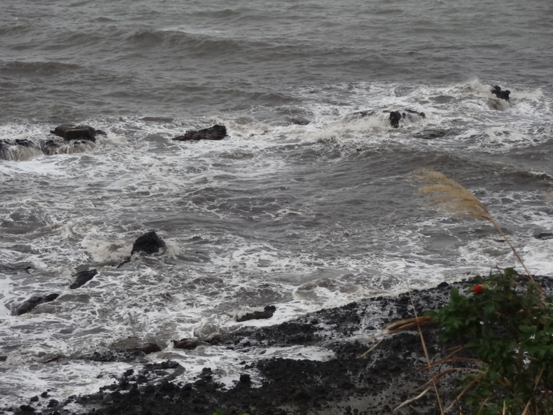 f:id:akita319:20141027185306j:image