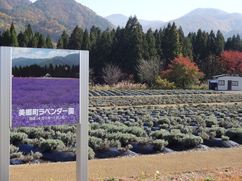 f:id:akita319:20141101063120j:image f:id:akita319:20141101063120j:image