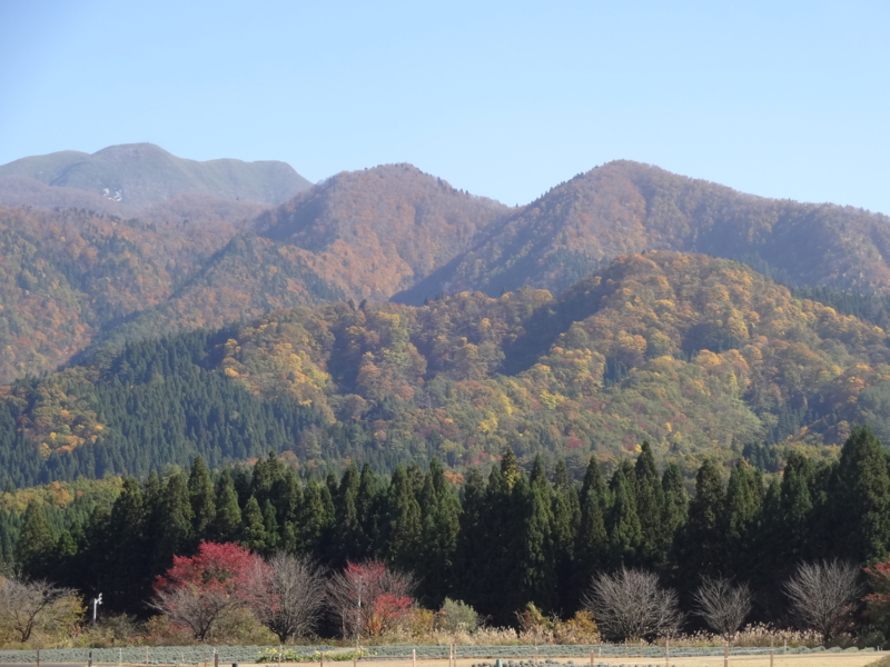 f:id:akita319:20141101063127j:image f:id:akita319:20141101063127j:image