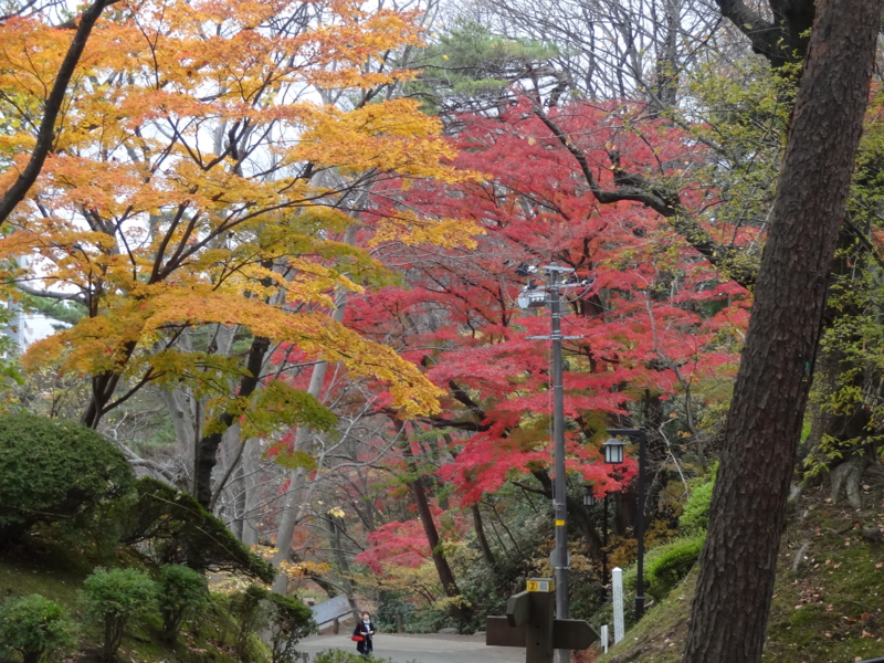 f:id:akita319:20141109214530j:image