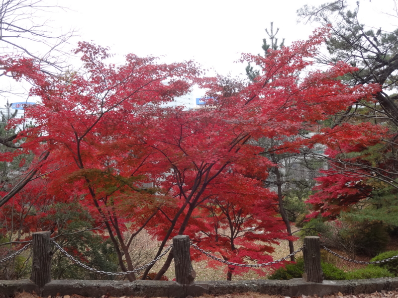 f:id:akita319:20141109214539j:image