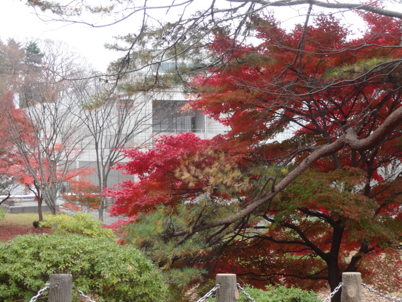 f:id:akita319:20141109214549j:image