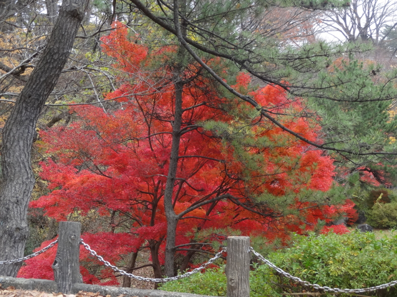 f:id:akita319:20141109214601j:image