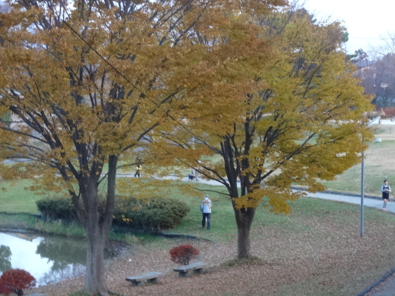f:id:akita319:20141201062447j:image