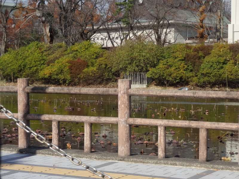 f:id:akita319:20141201062510j:image