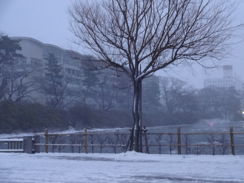 f:id:akita319:20141207073636j:image