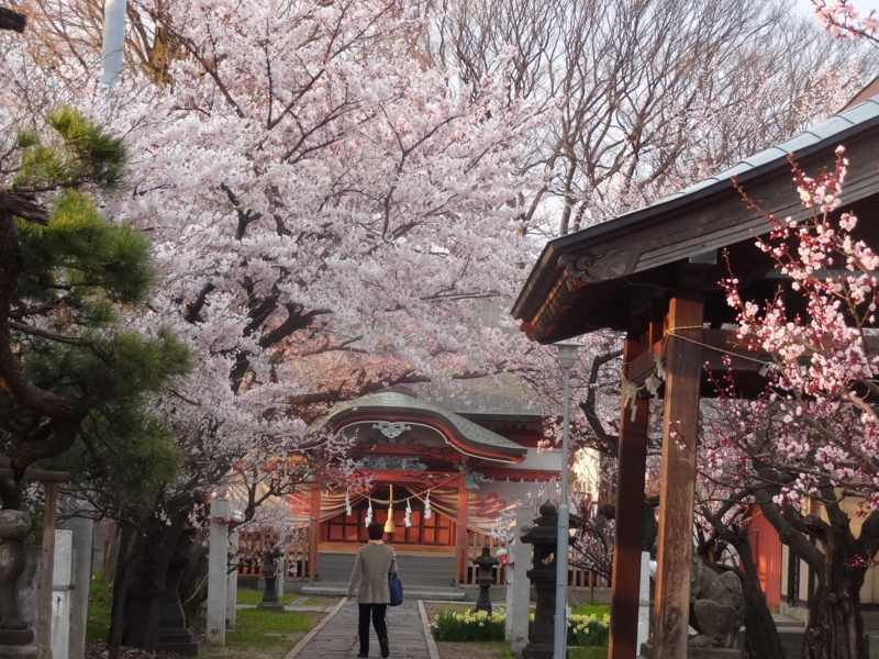 f:id:akita319:20141231111820j:image