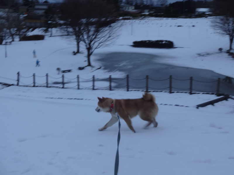 f:id:akita319:20150112175833j:image f:id:akita319:20150112175833j:image