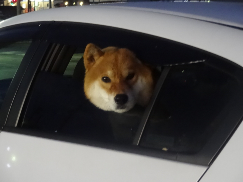 f:id:akita319:20150112180359j:image f:id:akita319:20150112180359j:image