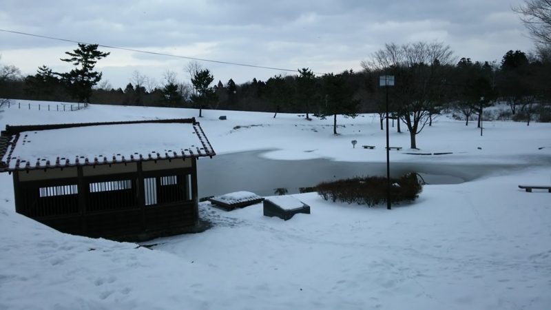 f:id:akita319:20150112180406j:image f:id:akita319:20150112180406j:image
