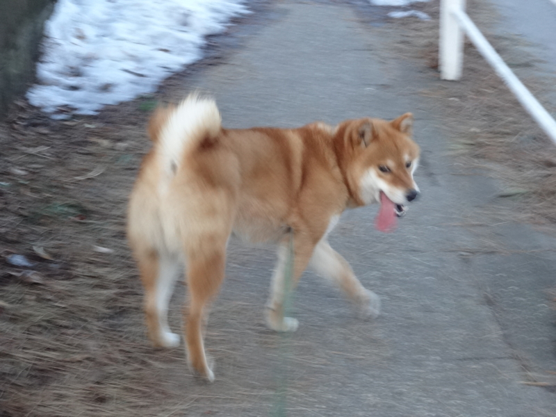 f:id:akita319:20150125192723j:image