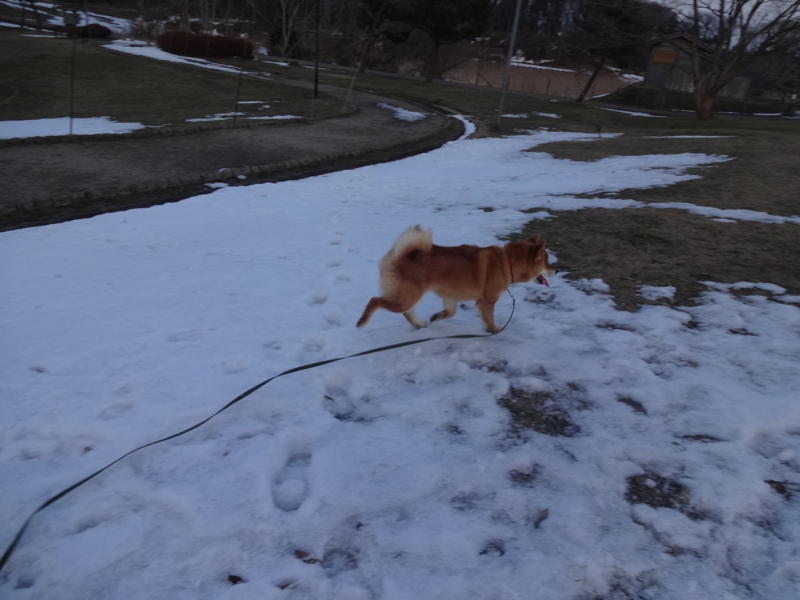 f:id:akita319:20150125192747j:image