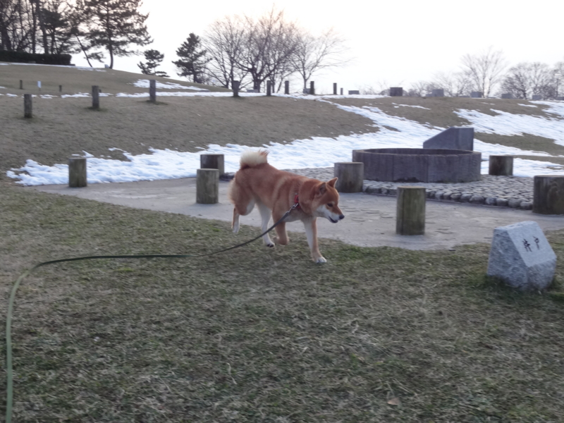 f:id:akita319:20150125192756j:image