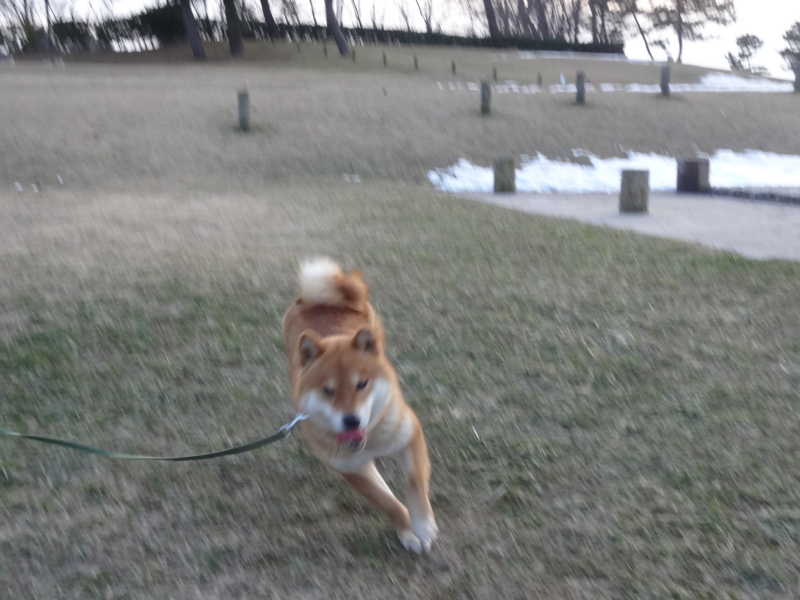 f:id:akita319:20150125192804j:image