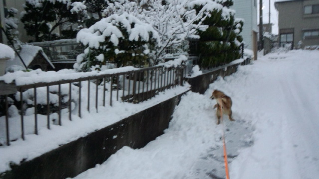 f:id:akita319:20150404083814j:image