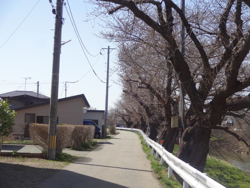 f:id:akita319:20150405201513j:image f:id:akita319:20150405201513j:image