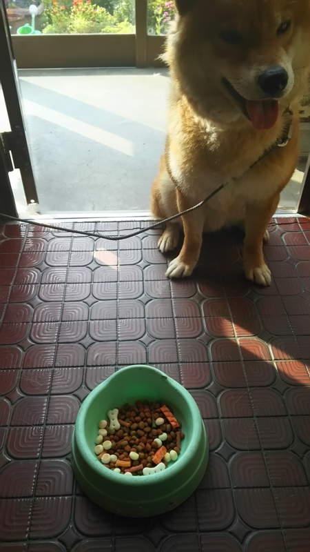 f:id:akita319:20150809083207j:image