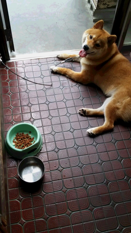 f:id:akita319:20150809154844j:image