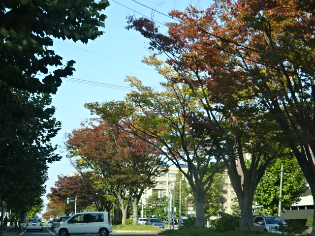 f:id:akita319:20151022073405j:image f:id:akita319:20151022073405j:image