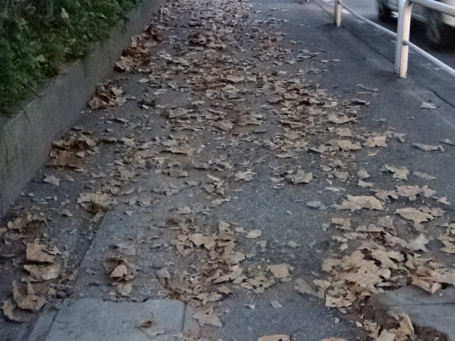 f:id:akita319:20151022073411j:image f:id:akita319:20151022073411j:image