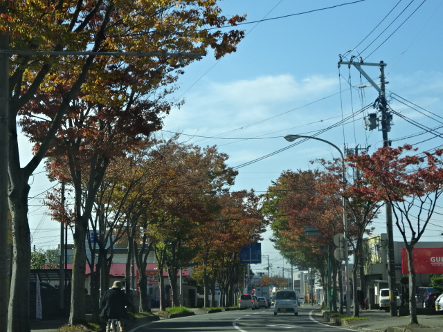 f:id:akita319:20151022073412j:image f:id:akita319:20151022073412j:image