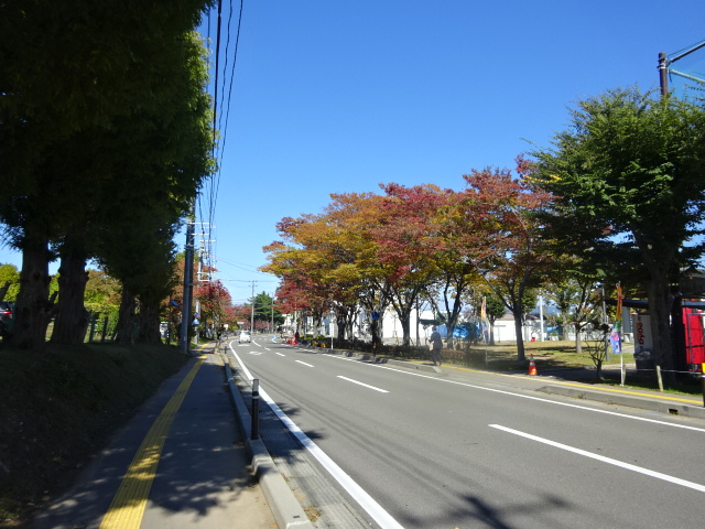 f:id:akita319:20151022074758j:image f:id:akita319:20151022074758j:image