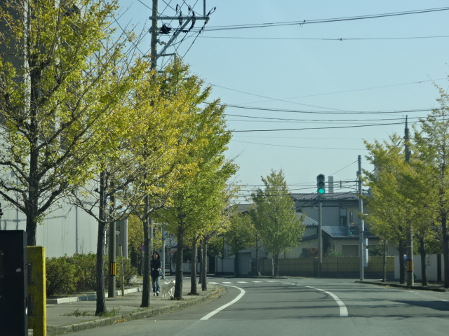f:id:akita319:20151022074759j:image f:id:akita319:20151022074759j:image