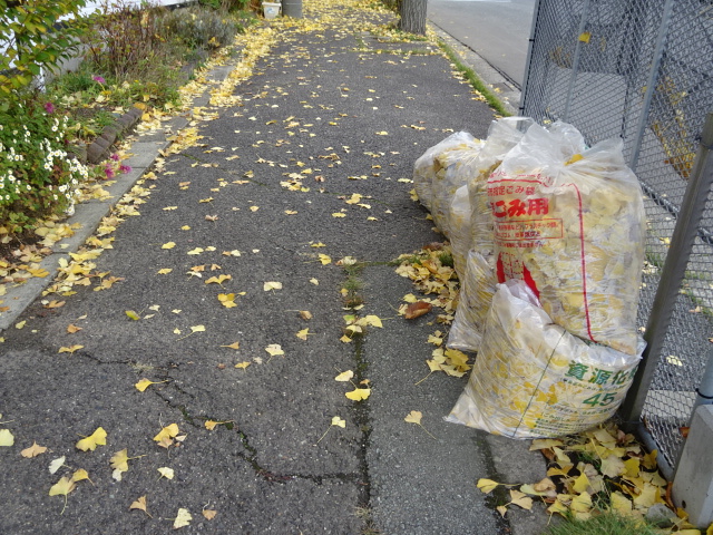 f:id:akita319:20151112065957j:image