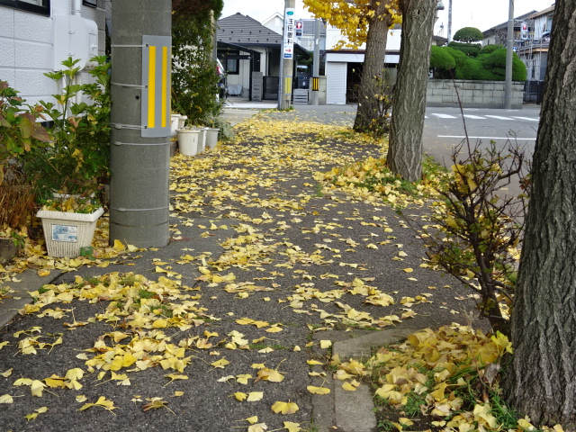 f:id:akita319:20151112065958j:image