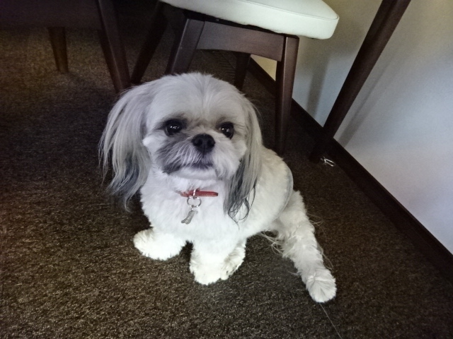 f:id:akita319:20151224073226j:image f:id:akita319:20151224073226j:image