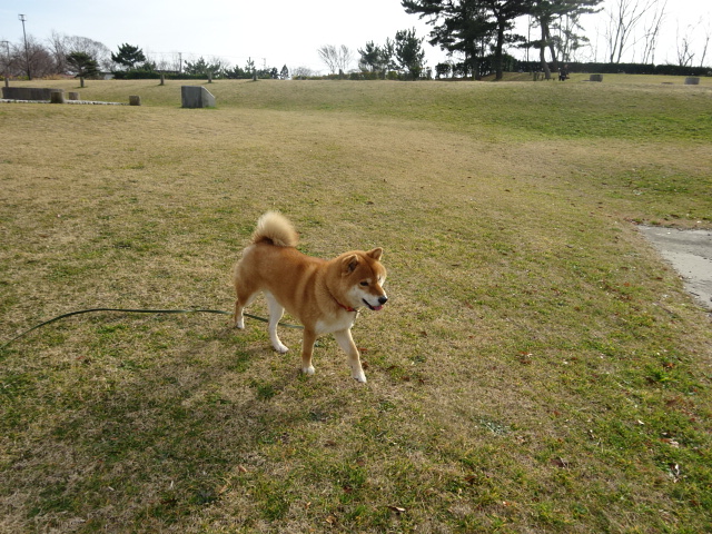 f:id:akita319:20151224073228j:image f:id:akita319:20151224073228j:image