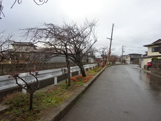 f:id:akita319:20151225090252j:image