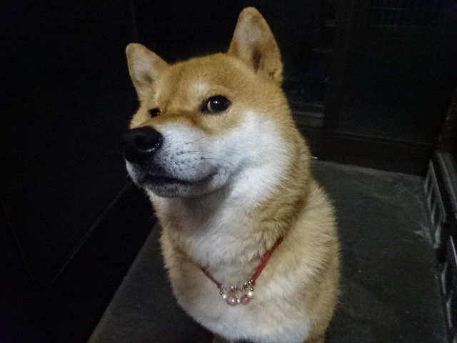 f:id:akita319:20151225203507j:image